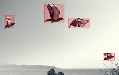 恒盛平台登录视频标注